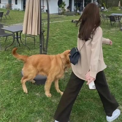 美丽王国